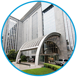 菠菜担保网通力-公司先容