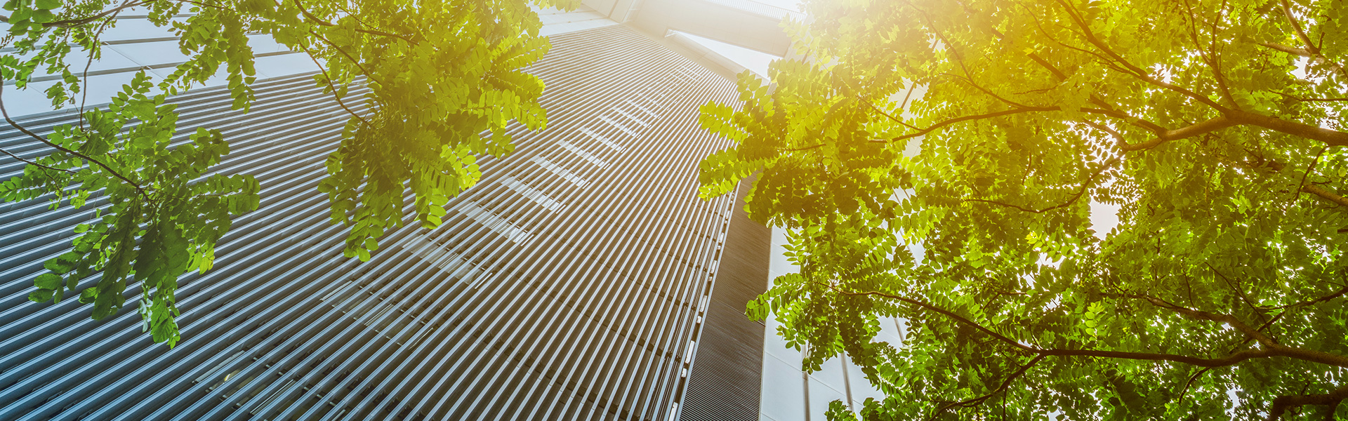 菠菜担保网通力-清静