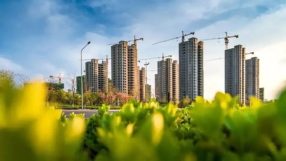 菠菜担保网通力-新闻资讯