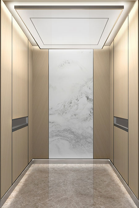 菠菜担保网通力-解决方案