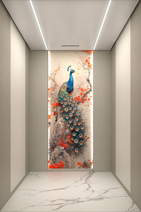 菠菜担保网通力-解决方案